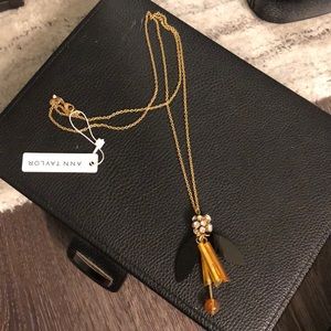 Long Ann Taylor necklace!